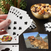 Jeu De Cartes mouillé (In Situ)