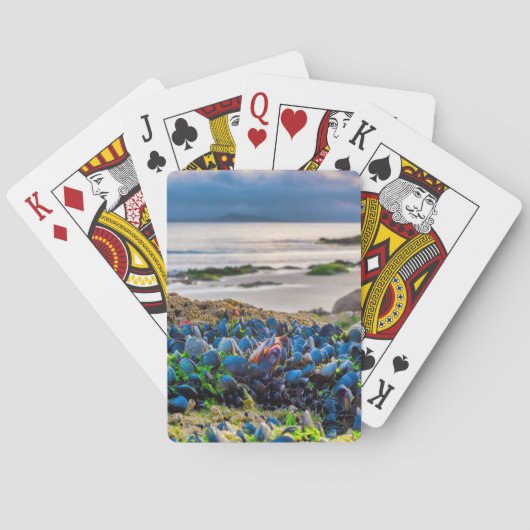 Jeu De Cartes Moules (dos)