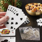 Jeu De Cartes Mouton drôle (In Situ)