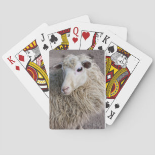 Jeu De Cartes Mouton drôle