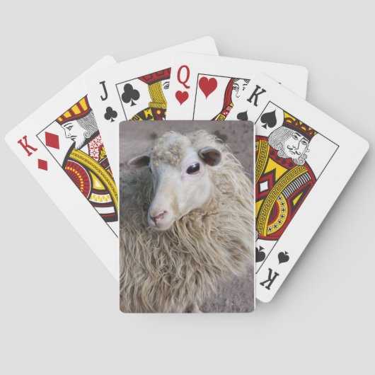 Jeu De Cartes Mouton drôle (dos)