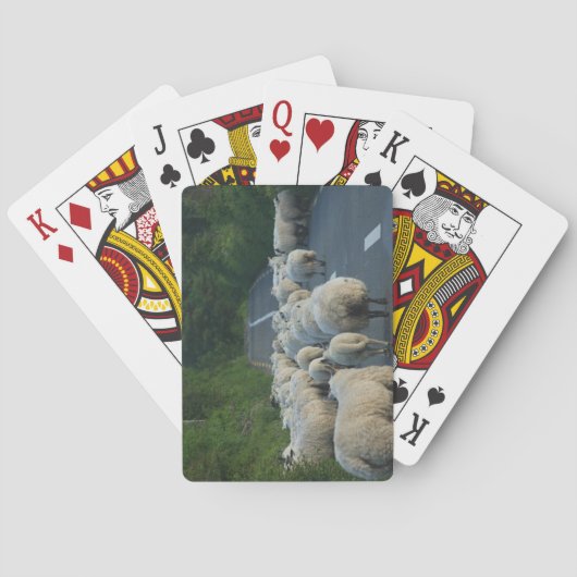 Jeu De Cartes Moutons Jouer aux cartes (dos)