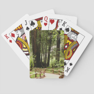 Jeu De Cartes Muir Woods Chemin I Nature Photographie