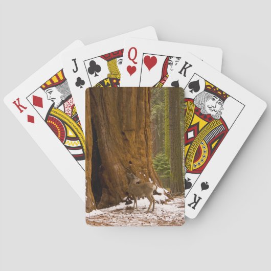 Jeu De Cartes Mule Deer (dos)