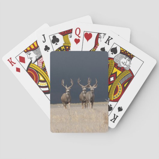 Jeu De Cartes Mule Deer Bucks Vélo Playceur Cartes (dos)