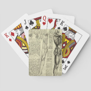 Jeu De Cartes Muscles humains anatomiques de Léonard de Vinci