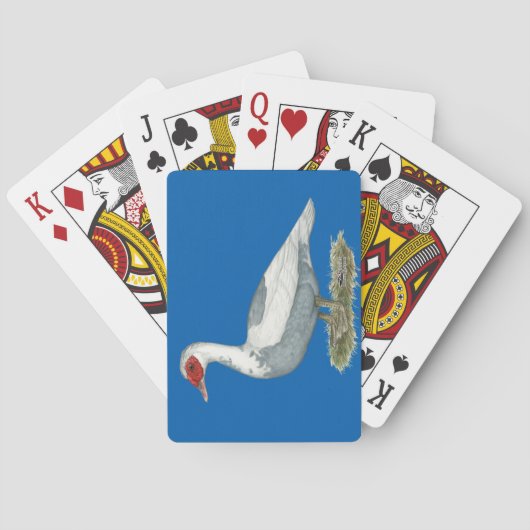 Jeu De Cartes Muscovy Blue pied Duck (dos)