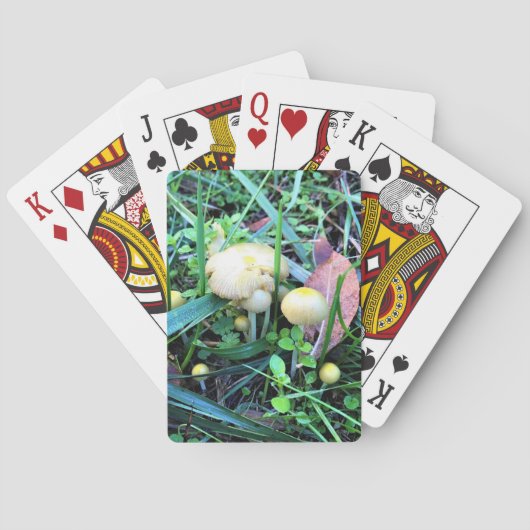 Jeu De Cartes Mushrooms de l'Oregon (dos)