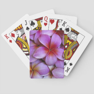 Jeu De Cartes N.D., États-Unis, Maui, Hawaï. Fleurs de frangipan
