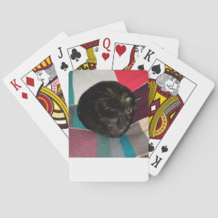 Jeu De Cartes Nap Time Dave Classic Jouer aux cartes