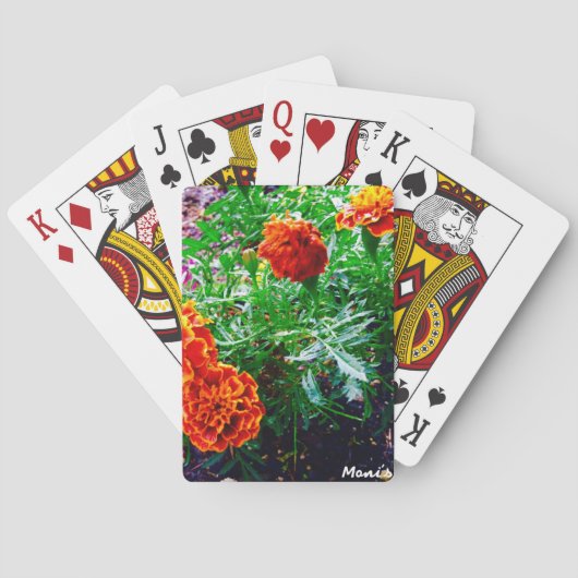 Jeu De Cartes Nature de cartes de jeu (dos)