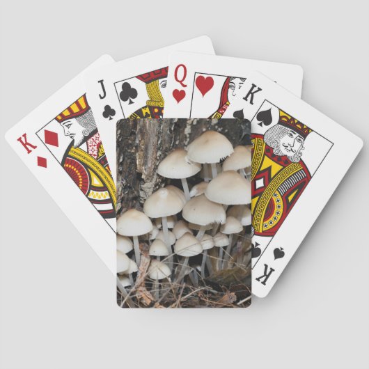 Jeu De Cartes Nature du groupement de champignons sauvages blanc (dos)