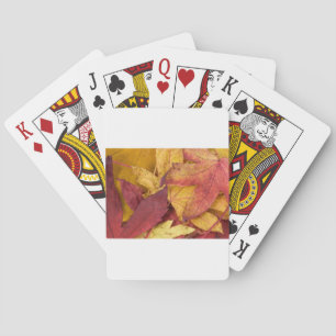 Jeu De Cartes Nature Feuilles Automne Arbre Feuille Coloré Art