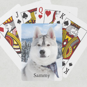 Jeu De Cartes Nom de la photo de l'animal
