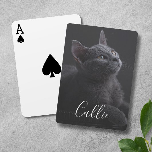 Jeu De Cartes Nom de la photo du chat de familier