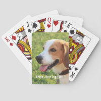 Nom personnalisé de photo de chien de beagle et de