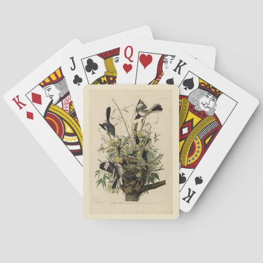 Jeu De Cartes Northern Mocking Bird, Audubon's Birds of America (dos)