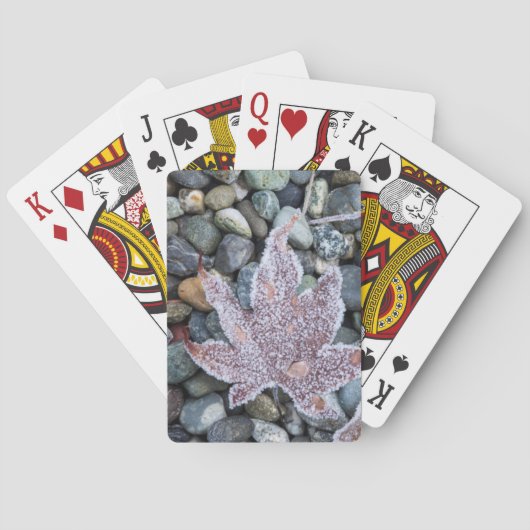 Jeu De Cartes Nous, Wa, Bainbridge Island. Frost du matin 2 (dos)