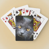 Jeu De Cartes Num-Num le chat de quartier