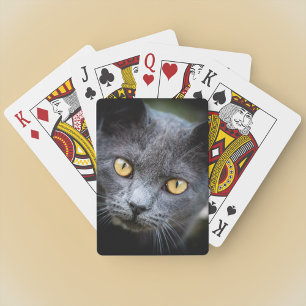 Jeu De Cartes Num-Num le chat de quartier