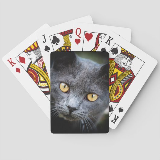 Jeu De Cartes Num-Num le chat de quartier (dos)