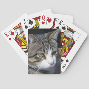 Jeu De Cartes Observation des oiseaux