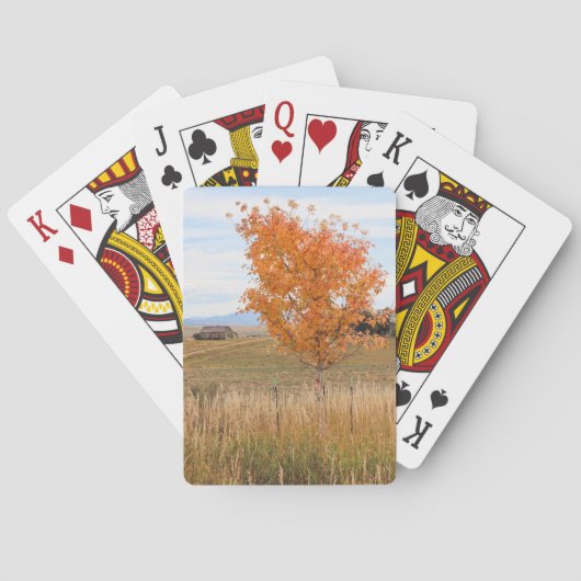 Jeu De Cartes Octobre lumineux (dos)