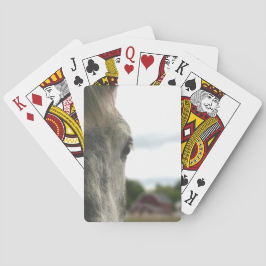 Jeu De Cartes Oeil de Cheval Brouillon gris pomme  (dos)