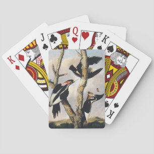 Jeu De Cartes Œuvre d'art vintage d'Audubon sur le Pic à bec ivo