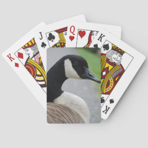 Jeu De Cartes Oie canadienne