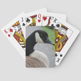 Jeu De Cartes Oie canadienne