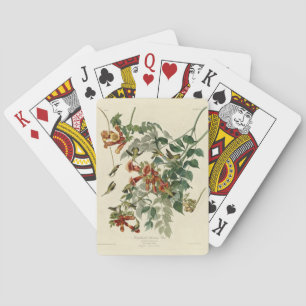 Jeu De Cartes Oiseau à gorge rubis, Audubon Oiseaux Amérique