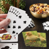 Jeu De Cartes oiseau, canard, canard, jaune, nature, mignonette, (In Situ)