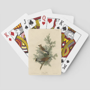 Jeu De Cartes Oiseau de cèdre, Cèdre, cire Audubon Oiseaux d'Amé