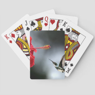 Jeu De Cartes Oiseau de Humming et Fleur rouge