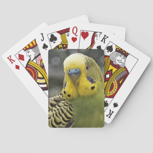 Jeu De Cartes Oiseau de perruche (dos)