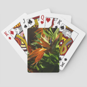 Jeu De Cartes Oiseau du Paradis - Image de la fleur