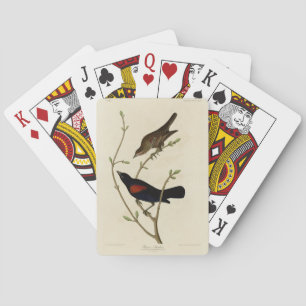 Jeu De Cartes Oiseau noir à ailes rouges - Oiseaux d'Amérique d'