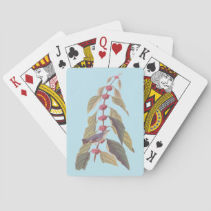 Jeu De Cartes Oiseau Vintage de Paruline verte bleue d'Audubon