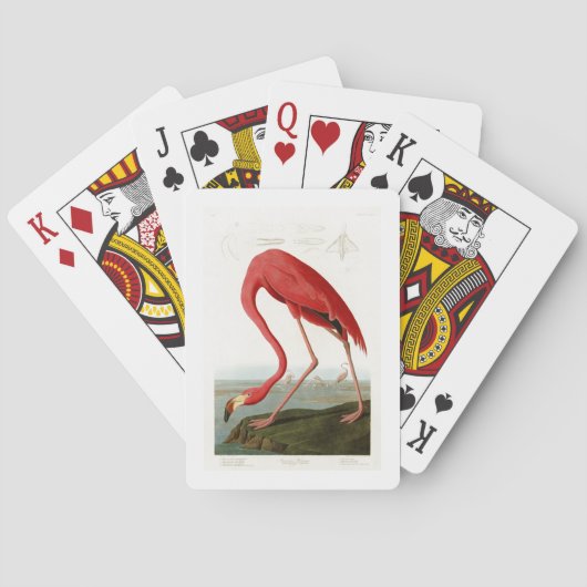Jeu De Cartes Oiseaux américains de John Audubon de Flamant rose (dos)