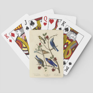 Jeu De Cartes Oiseaux bleus et Paruline, Oiseaux d'Amérique d'Au