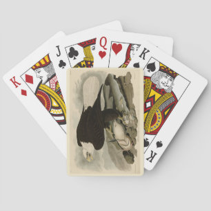 Jeu De Cartes Oiseaux d'Amérique à tête blanche (aigle à tête bl