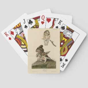 Jeu De Cartes Oiseaux d'Amérique d'Audubon