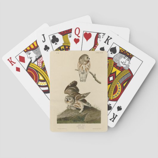 Jeu De Cartes Oiseaux d'Amérique d'Audubon (dos)