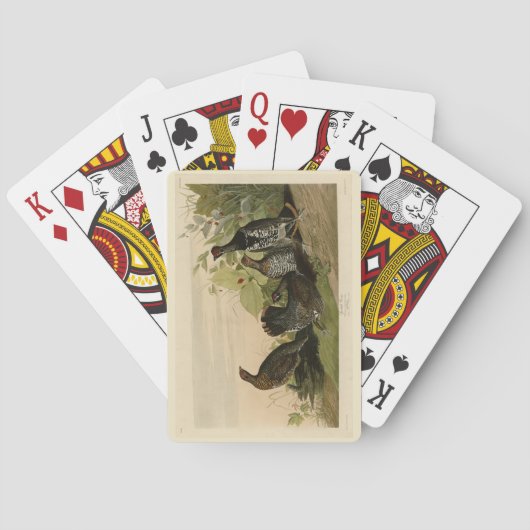 Jeu De Cartes Oiseaux d'Amérique du Grouse Audubon tacheté (épin (dos)