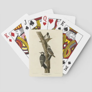 Jeu De Cartes Oiseaux d'Amérique du pic-rouge Audubon