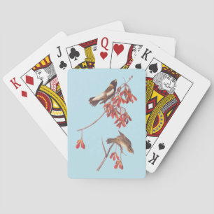 Jeu De Cartes Oiseaux de brume de riz d'Audubon ou oiseaux Bobol