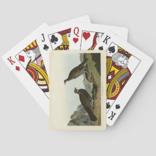 Jeu De Cartes Oiseaux de l'Amérique du Nord