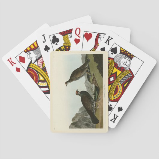 Jeu De Cartes Oiseaux de l'Amérique du Nord (dos)