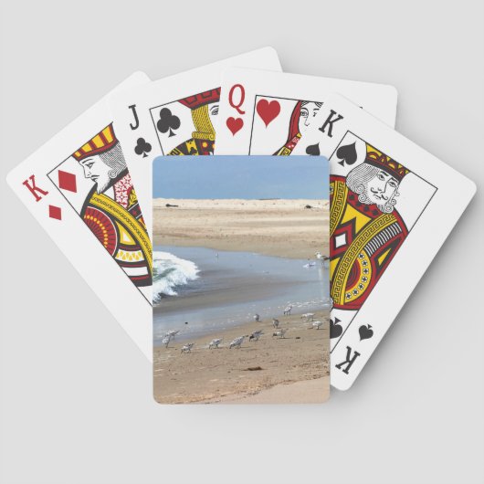 Jeu De Cartes Oiseaux de plage (dos)